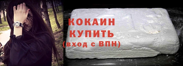 дживик Сосновый Бор
