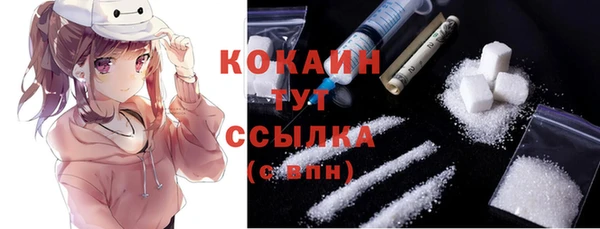 СК Белокуриха