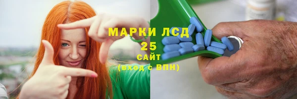 гашик Сосновка